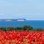 Panorama 3*