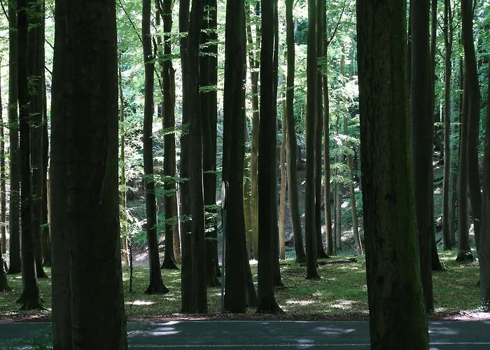 Отель Panorama 3*